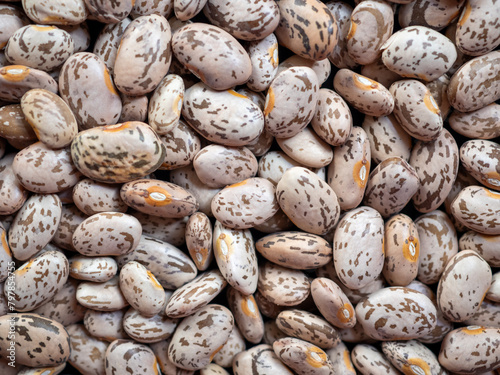 A Field of Pinto Beans