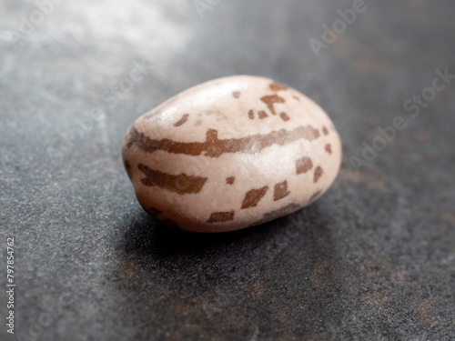 A single Pinto Bean Isolated on a Brown Plate