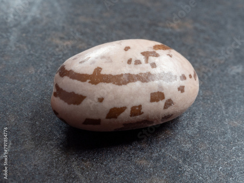 A closeup of a single pinto bean on a dark brown plate.