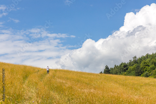 An elderly man walks away towards the mountain. © Jacek