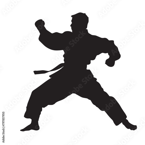 Vector silhouette of a martial arts sports person. Flat cutout icon
