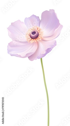 Delicate Japanese Anemone Blossom in Watercolor Digital Painting Style Against Clean Background