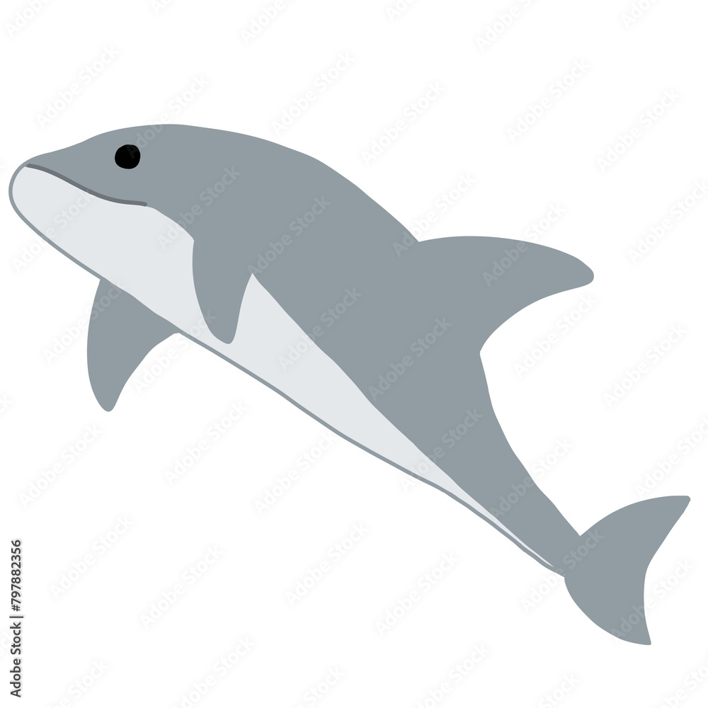 a gray-patterned dolphin a gray-patterned dolphin