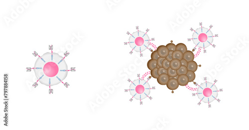 CAR T-cell therapy and Cancer treatment . Chimeric antigen receptor T cells. T cell receptor proteins that have been engineered to kill cancer ells. CAR T cells immunotherapy. Cancer therapy.
