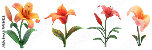 PNG zephyr lily 3d icons and objects collection, in cartoon style minimal on transparent, white background, isolate photo