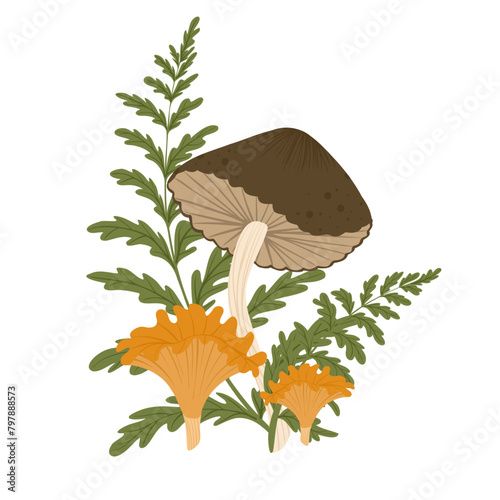 Mushroom isolated element. Autumn composition with greaser, chanterelle, fern leaves. Fall mushrooms vector illustration for sticker, logo, print. White background.