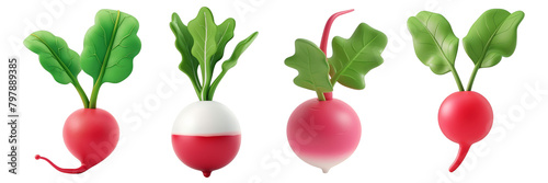 PNG radish 3d icons and objects collection, in cartoon style minimal on transparent, white background, isolate