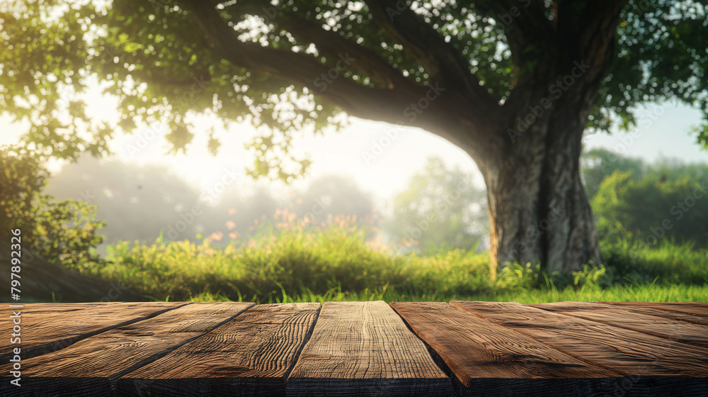 Tree Table wood Podium in farm display for food, perfume, and other products on nature background, Table in farm with grass, Sunlight at morning Tree Table wood Podium in farm display for food, perfume, and other products on nature background, Table in farm with grass, Sunlight at morning