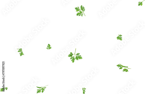 falling green parsley leaf