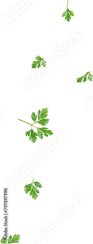 falling green parsley leaf