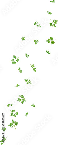 flying parsley leaf