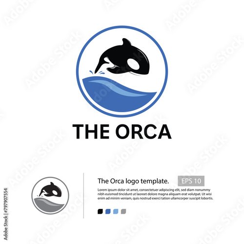 The orca logo template with a simple flat orca vector, flat water wave, and a small splash in the tail. that suitable for your oceanarium logo.
