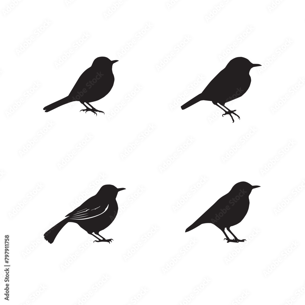 Fototapeta premium Set of black bird silhouettes. Vector elements for design.