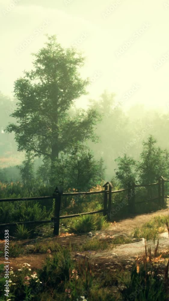 A path through a forest with a fence in the foreground A path through a forest with a fence in the foreground