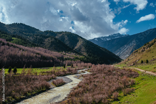 Picturesque mountain valley with rushing river in spring
