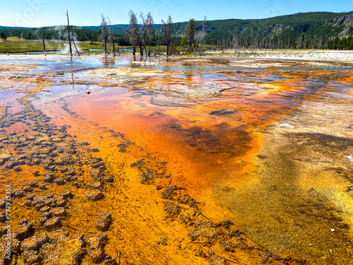 Yellowstone National Park Thermal Feature photo