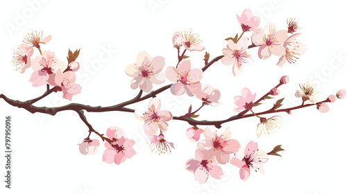 Cherry blossom branch. Cute cpring vector illustration