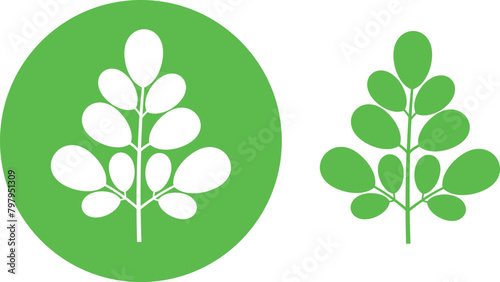 Moringa logo. Isolated moringa on white background photo