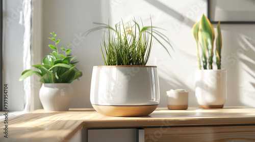 three plants are sitting on a table in a room with sunlight coming in through the window
