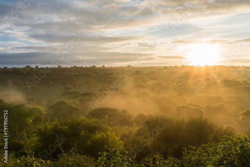 Sunrise at the Tarangire National Park, Tanzania