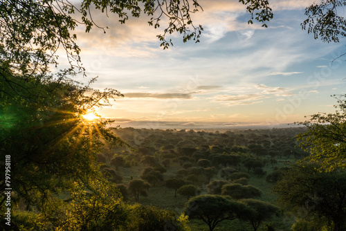 Sunrise at the Tarangire National Park, Tanzania photo