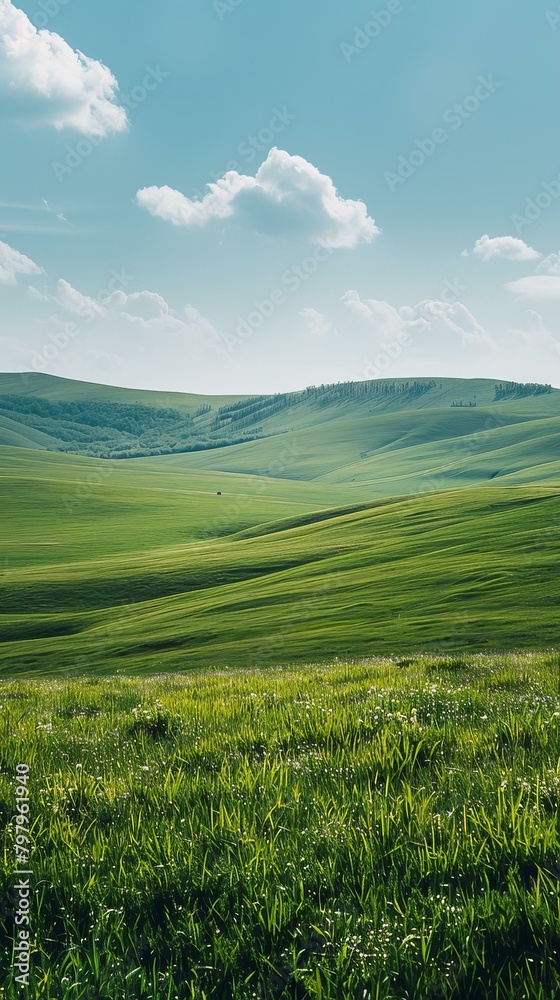 b'Grasslands are vast areas of land covered with grass and few trees.'