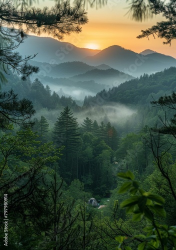 Camping in the Great Smoky Mountains National Park