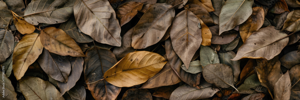 Brown plant leaves in autumn season, brown background Brown plant leaves in autumn season, brown background