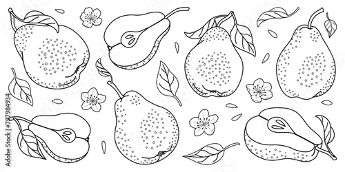 Pear line art set. Minimalistic Simple Hand Drawn. Retro style. Whole and Sliced pears with seeds, flowers and leaves. Isolated on white. Coloring page Black and white vector illustration.