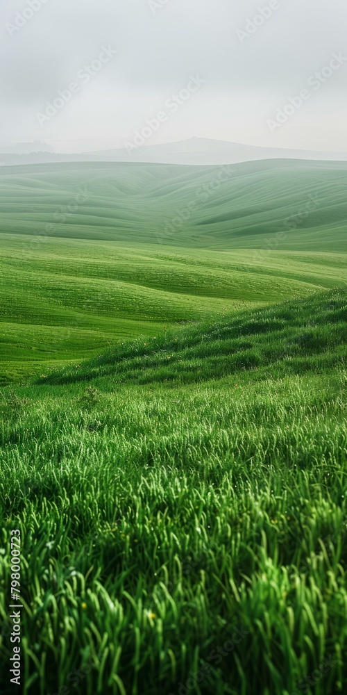 b'Green rolling hills of Tuscany'