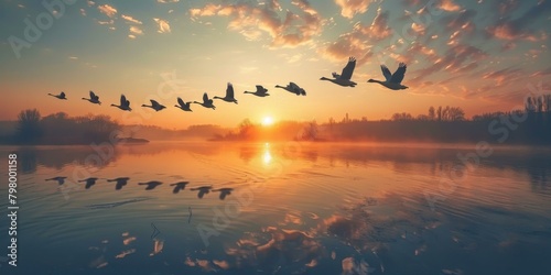 b'A flock of geese flies over a lake at sunset.' photo
