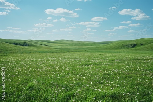 b Green rolling hills with white flowers 