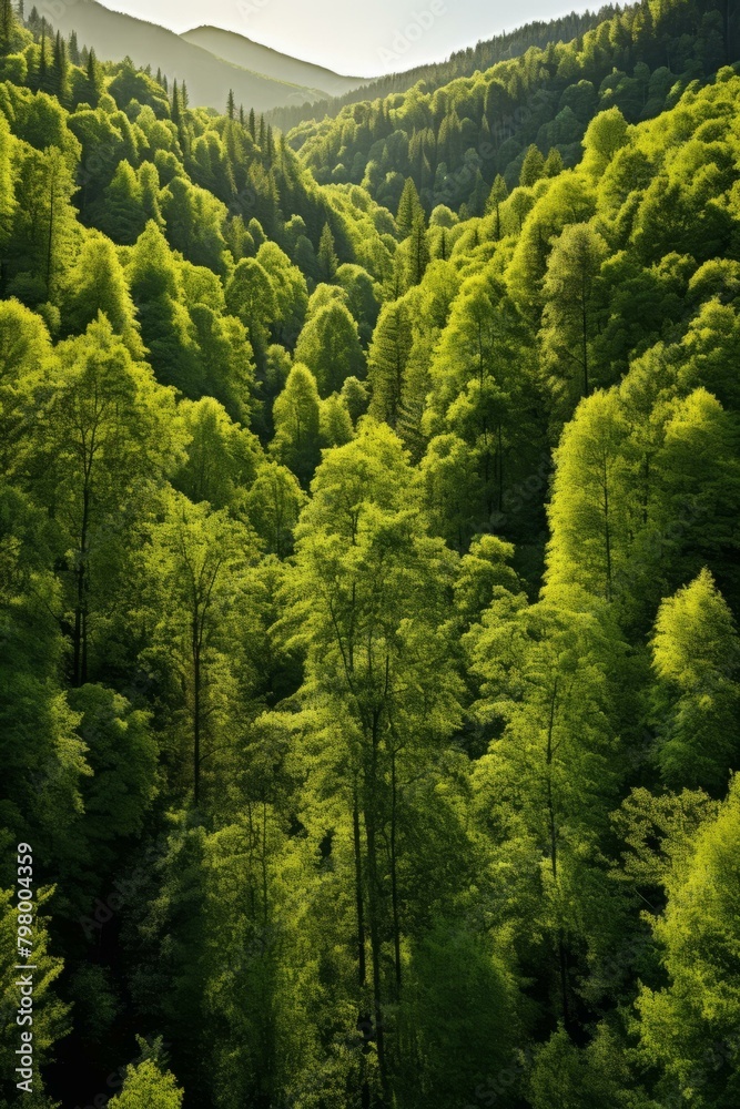 b'Green hills and mountains' b'Green hills and mountains'