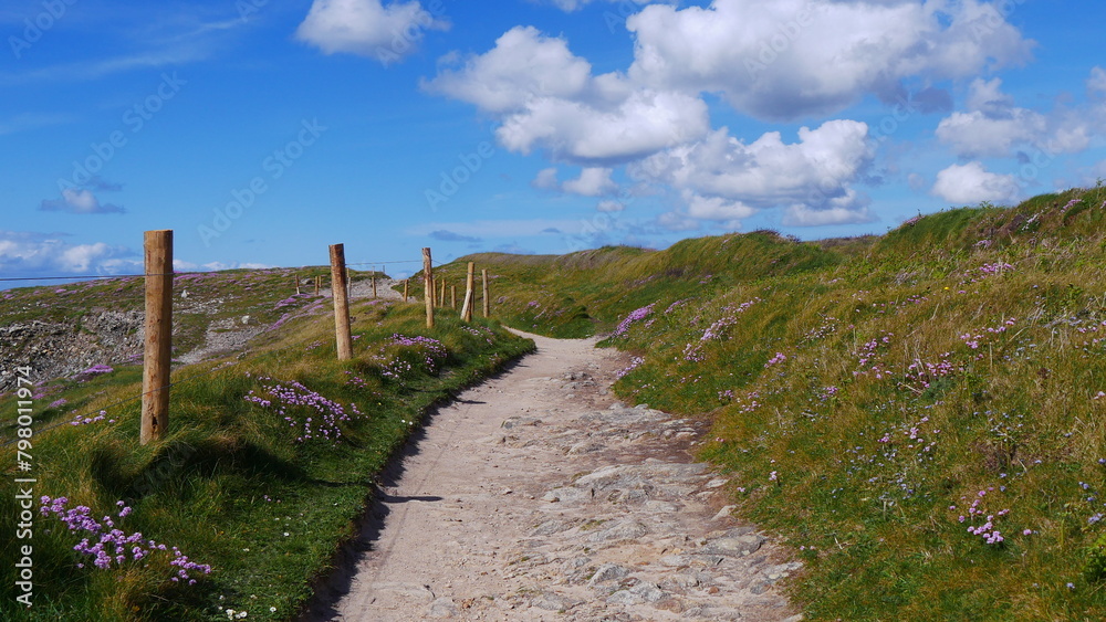 Chemin aux bords des falaises de la région Bretagne, promenade de groupe de personnes, végétation et pelouse maritime, vent d'air bien frais et violent, souffle, plaisir de respirer du bon air