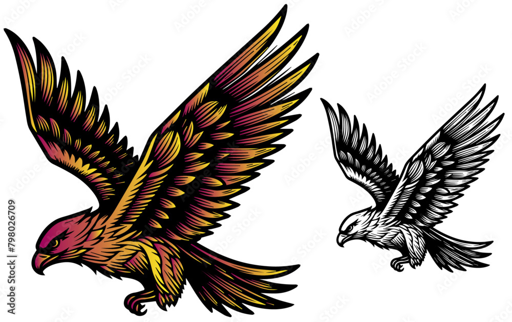 Obraz premium eagle with wings