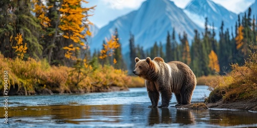 Breathtaking view of wildlife of Alaska © toomi123