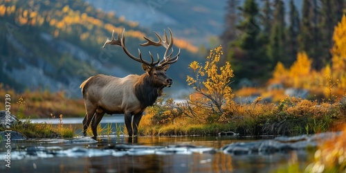 Breathtaking view of wildlife of Alaska