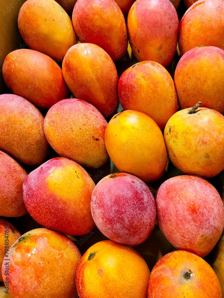 The image shows a collection of mangoes with varying shades of orange and red, indicating different stages of ripeness. The mangoes are piled together, with some overlapping, and they appear to be fre