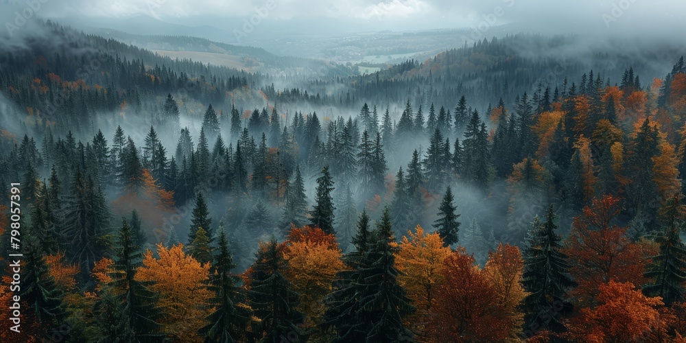 A breathtaking view of a dense forest with fog rolling through it, against the backdrop of majestic mountains, showing the peaceful and mysterious beauty of nature