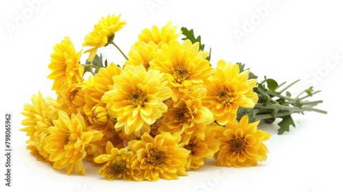 A beautiful bouquet of yellow chrysanthemums set against a crisp white backdrop perfect for expressing love and appreciation on occasions like Mother s Day Valentine s Day International Wom photo