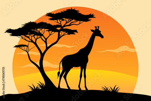 Giraffe  Silhouette on Sunset Branch Vector Illustration for Wall Art & Posters white background