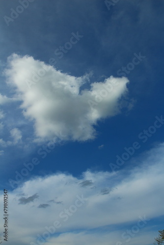 A cloud in the sky