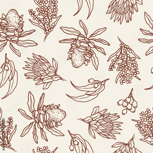 Line art Australian flowers background. Banksia seed pod, wattle, protea, eucalyptus
