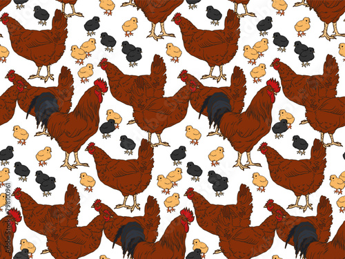red breed Chickens seamless pattern.  agroculture, organic farming background for poster, flyer, farm products package, wrapping paper, book design. poultry farming and egg production symbol.