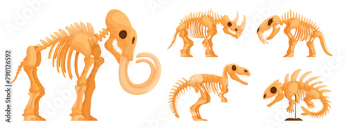 Set of dinosaur skeletons. Collection of skeletons of dinosaurs, mammoth, sabertooth, Ichthyostegalidae, rhinoceros and Trex, fossils, side view. Various types of skulls and bones of ancient animals