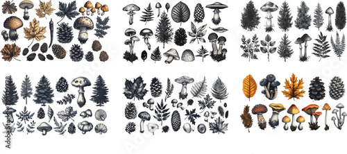 Linocut forest branch set vector engraving Scandinavian leaf, mushroom, cones black print collection.