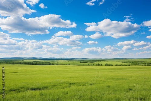 b'Beautiful green grassland scenery under blue sky and white clouds'