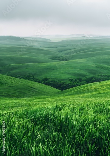 b'Green rolling hills landscape with a valley in the middle'
