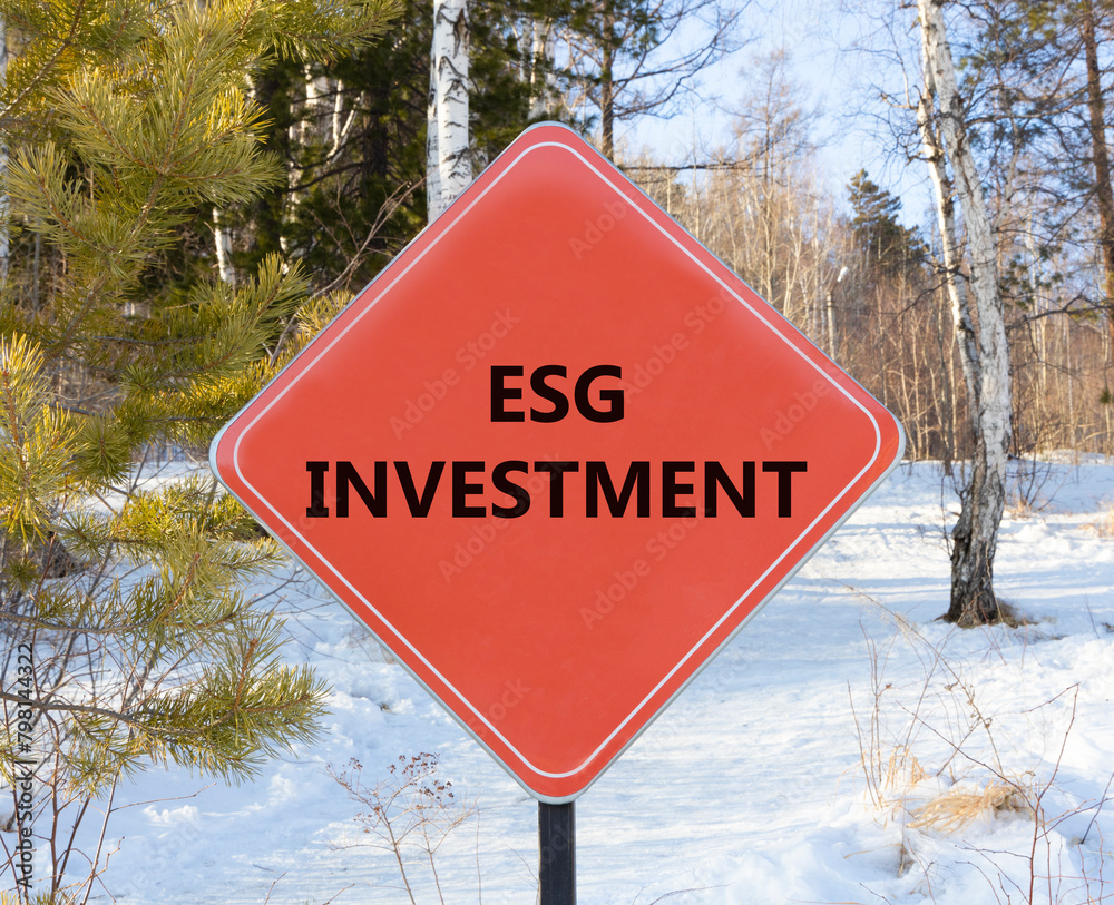 ESG environmental social governance investment symbol. Concept words ESG investment on beautiful red road sign. Beautiful forest snow blue sky background. Business ESG investment concept. Copy space.