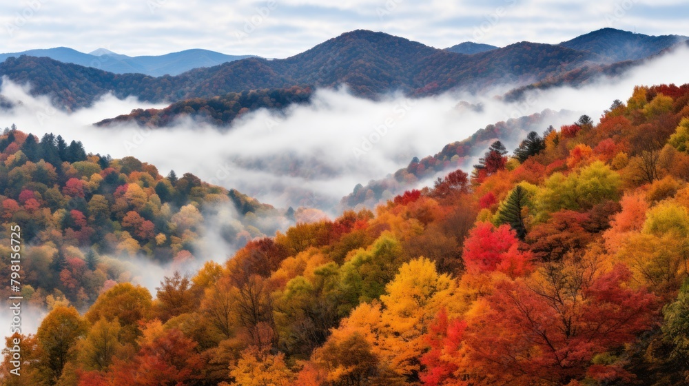 a foggy mountain range with trees and mountains in the background